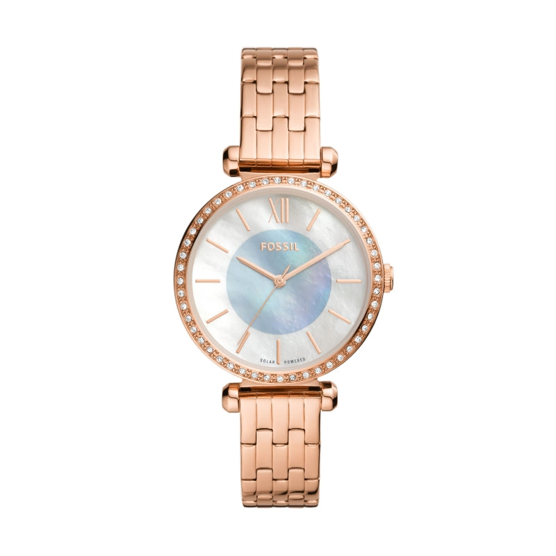 FOSSIL nan