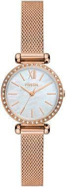 FOSSIL copper