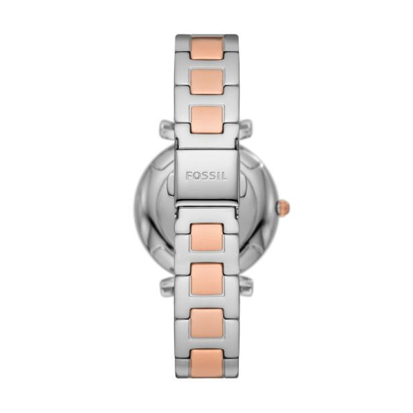 FOSSIL nan 3