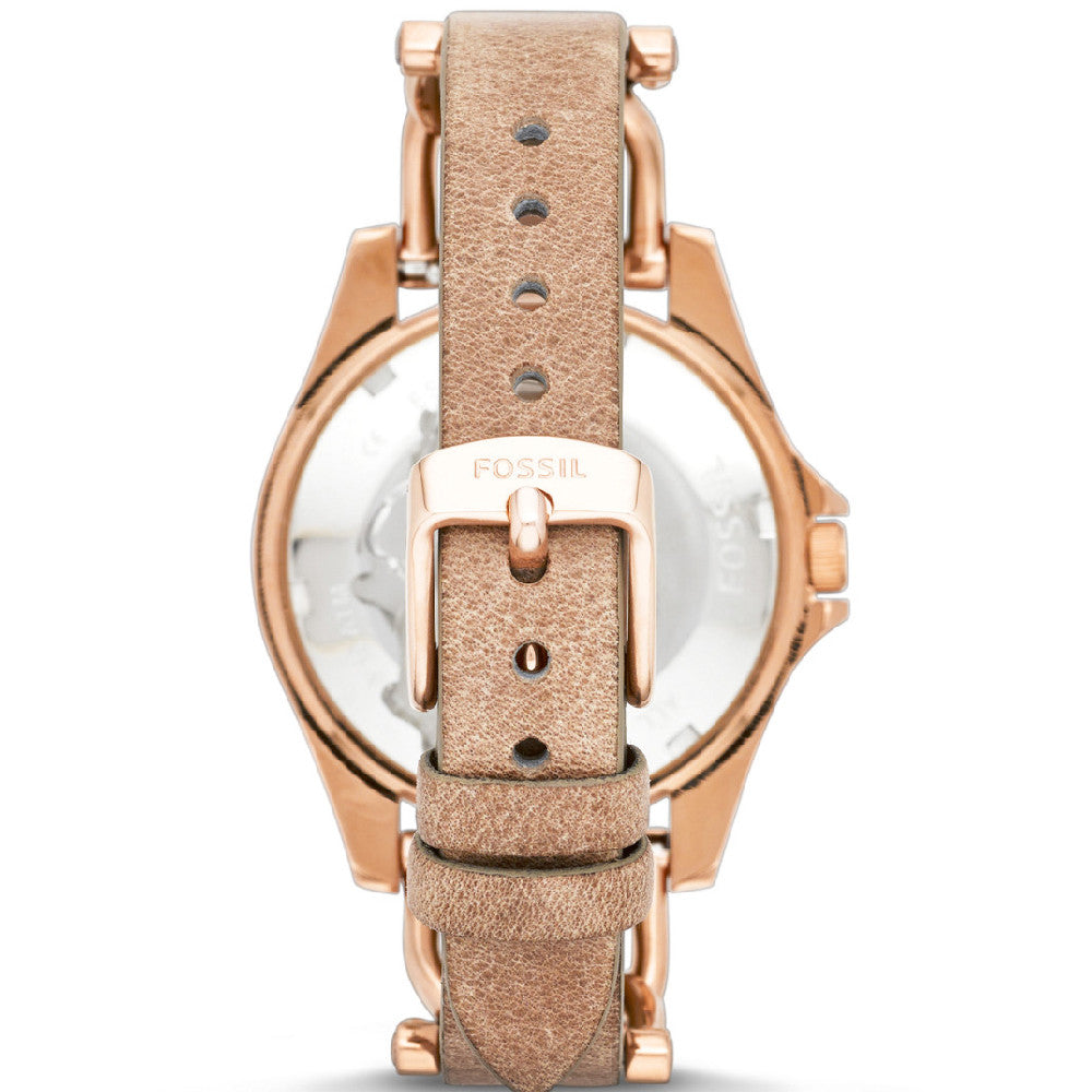 FOSSIL Default 4