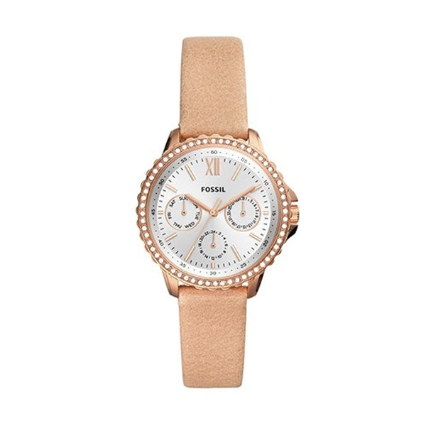 FOSSIL white