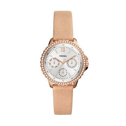 FOSSIL white