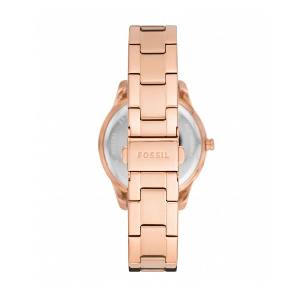 FOSSIL Default 3
