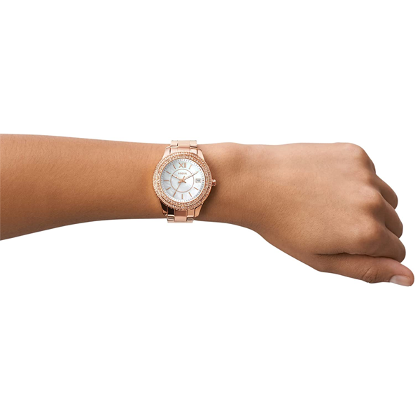 FOSSIL Default 4