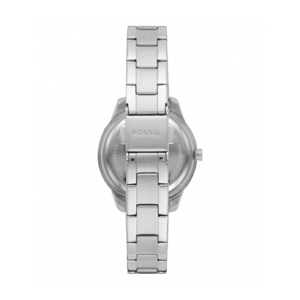 FOSSIL nan 3