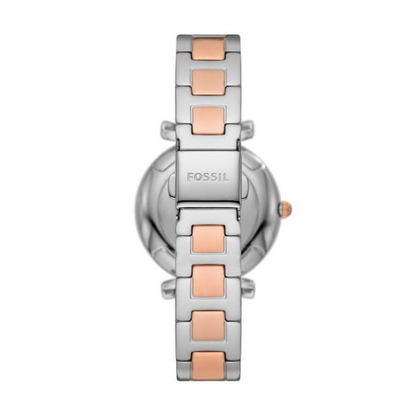 FOSSIL nan 3