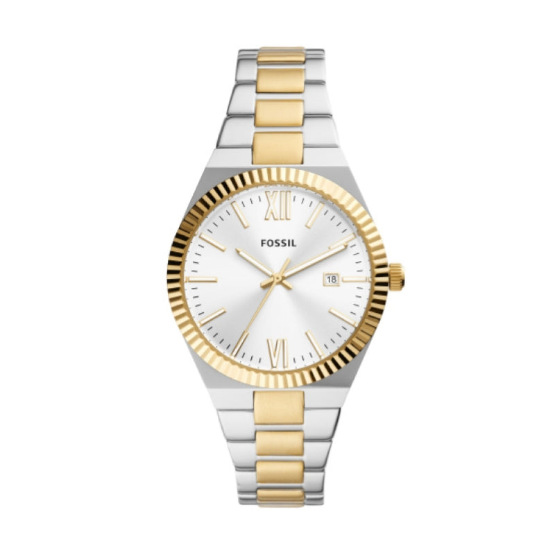 FOSSIL white