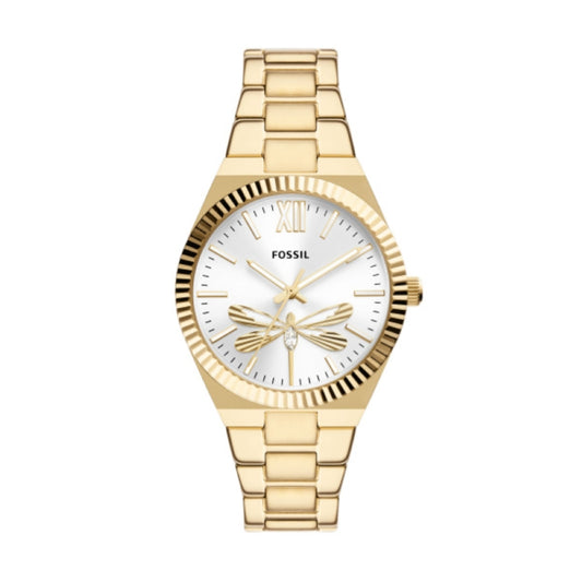 FOSSIL nan