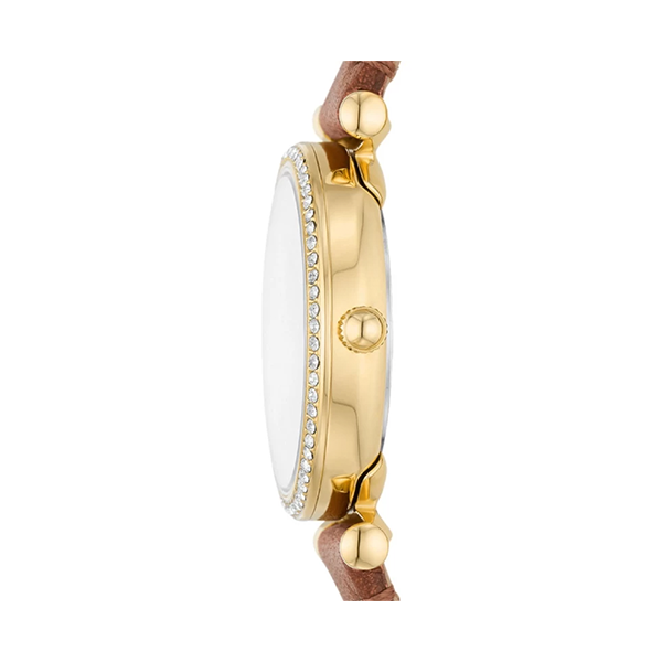 FOSSIL brown 2