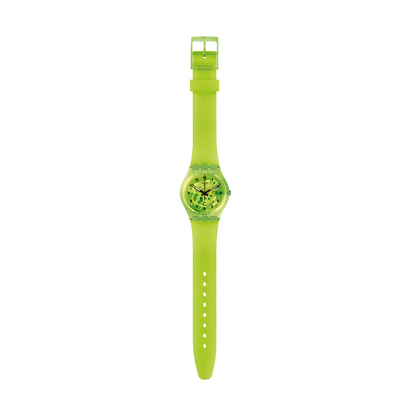 SWATCH nan 5