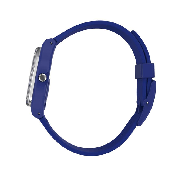 SWATCH nan 3