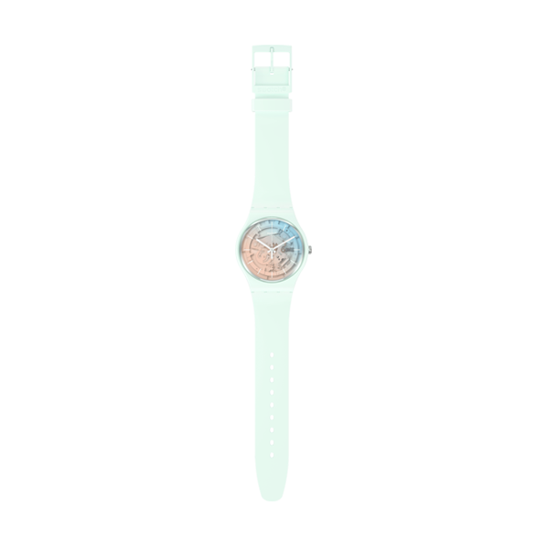 SWATCH nan 2