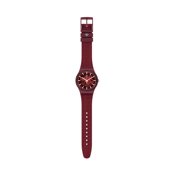 SWATCH nan 2