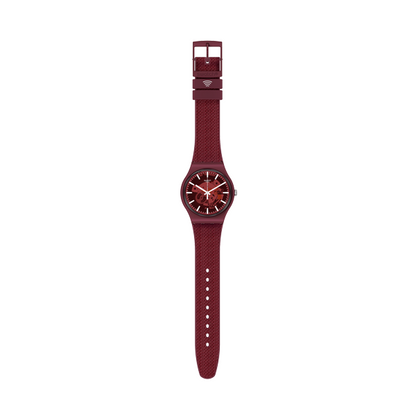 SWATCH nan 2